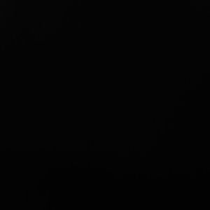 Meet your Posher, Terry